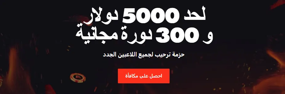 Bonuses and promotions